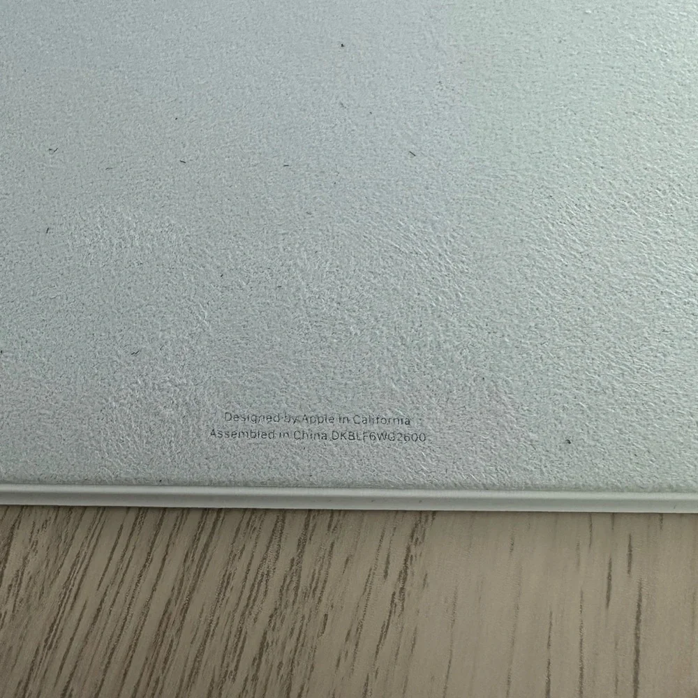 Apple White iPad Case